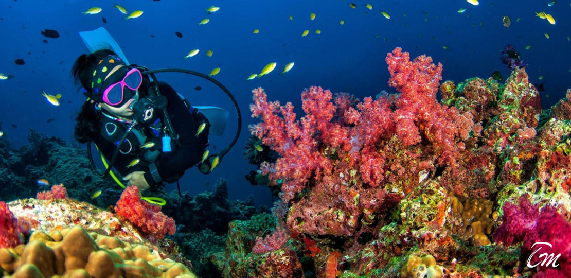 Coral reef in clear tropical water