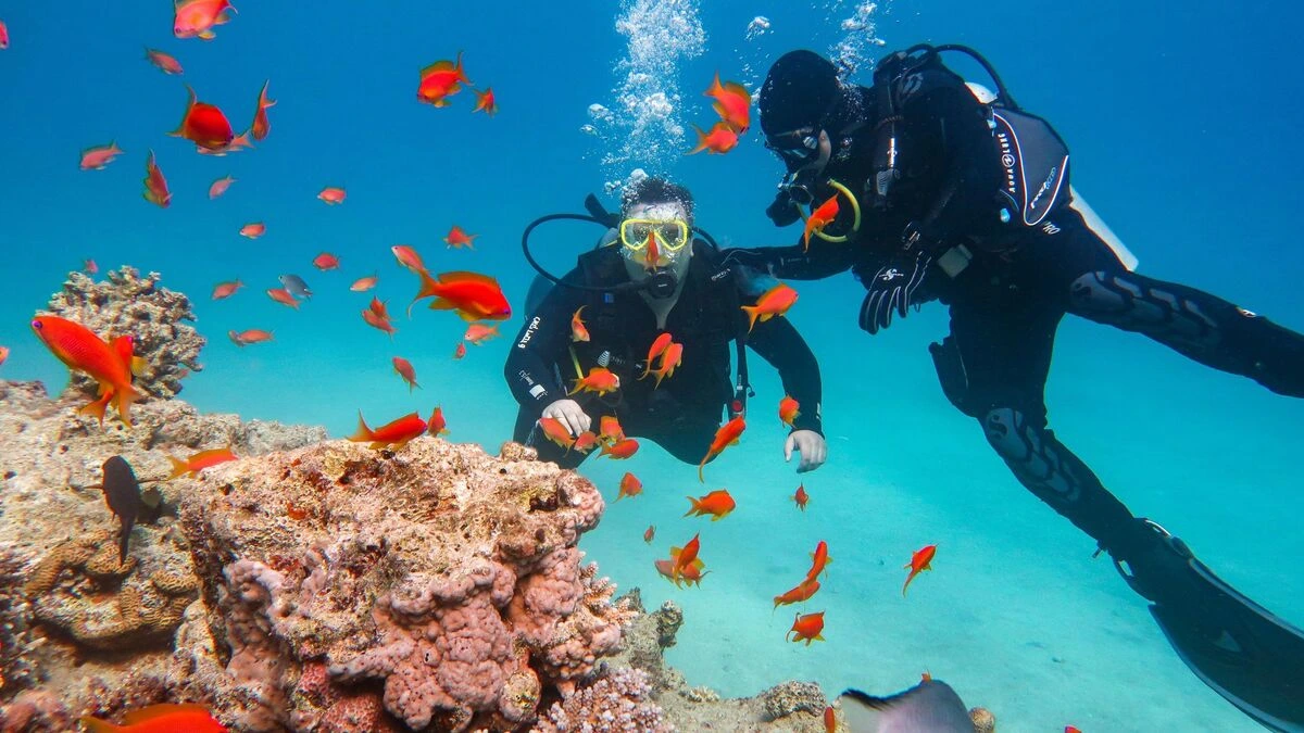 Coral reef in clear tropical water
