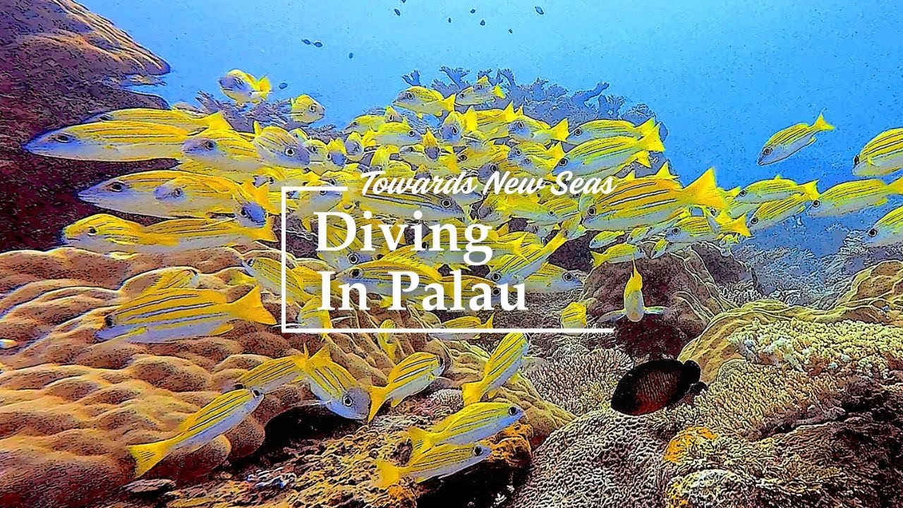 Palau's Rock Islands from the surface