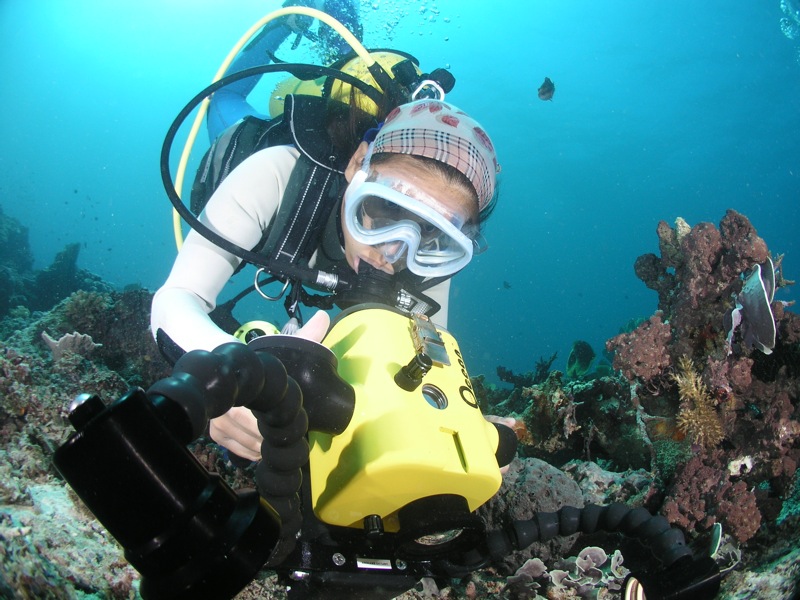 Remote tropical island coastline with pristine reef — the above-water scenery of the Kaimana region