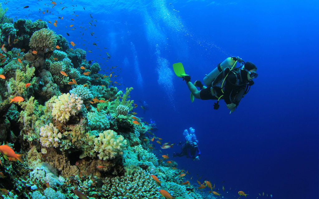 Open ocean surface in early light