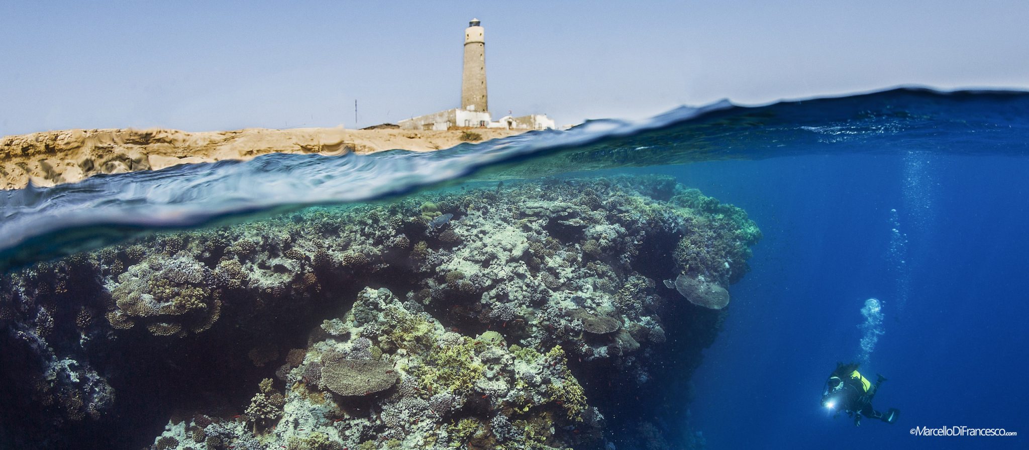 Gorgonian sea fans and hard coral coverage on a Brothers Islands wall — pristine reef conditions maintained by the site's protected marine park status