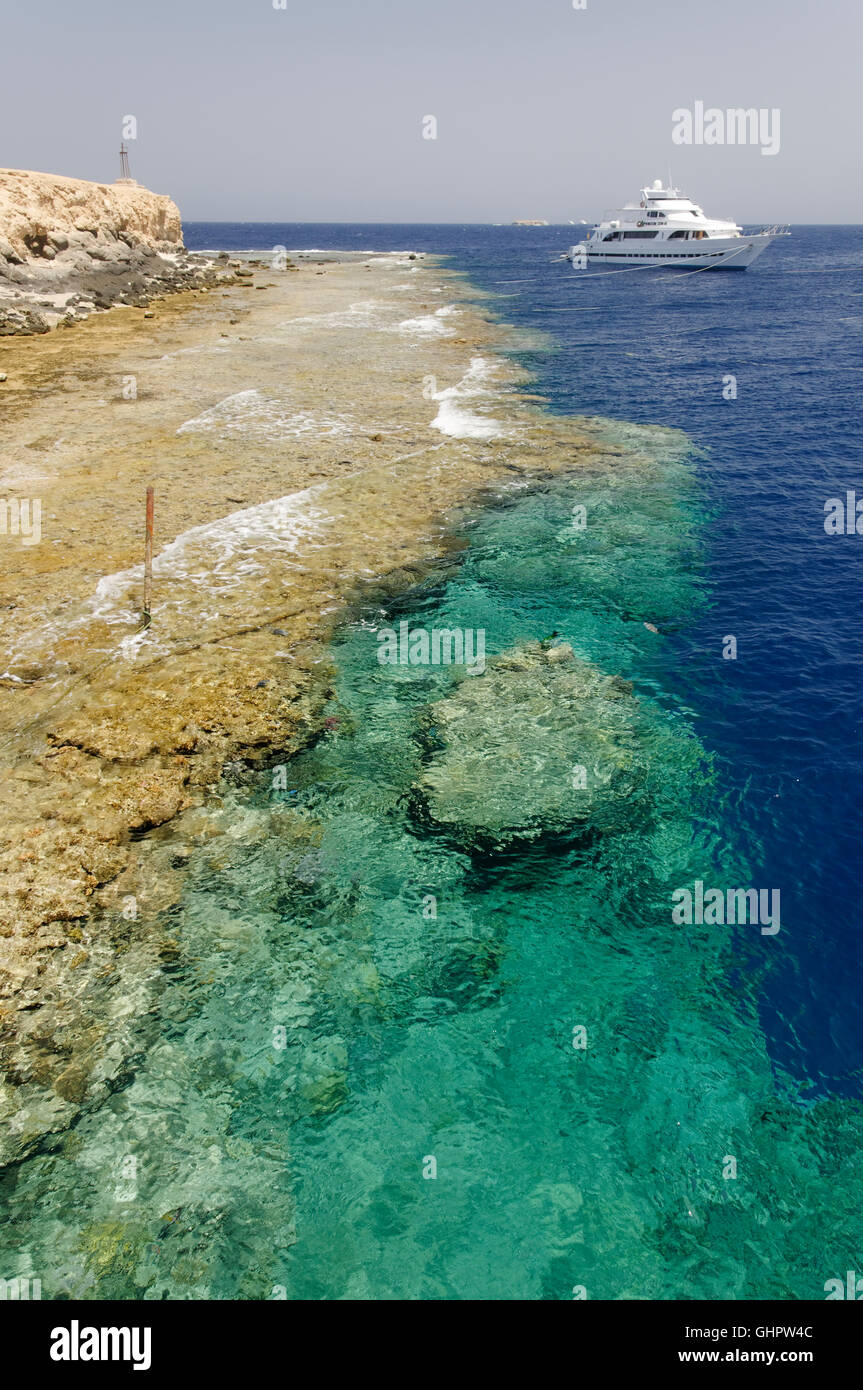 Open blue water off the Brothers Islands wall — the deep-water drop-offs where hammerhead and oceanic whitetip sharks patrol