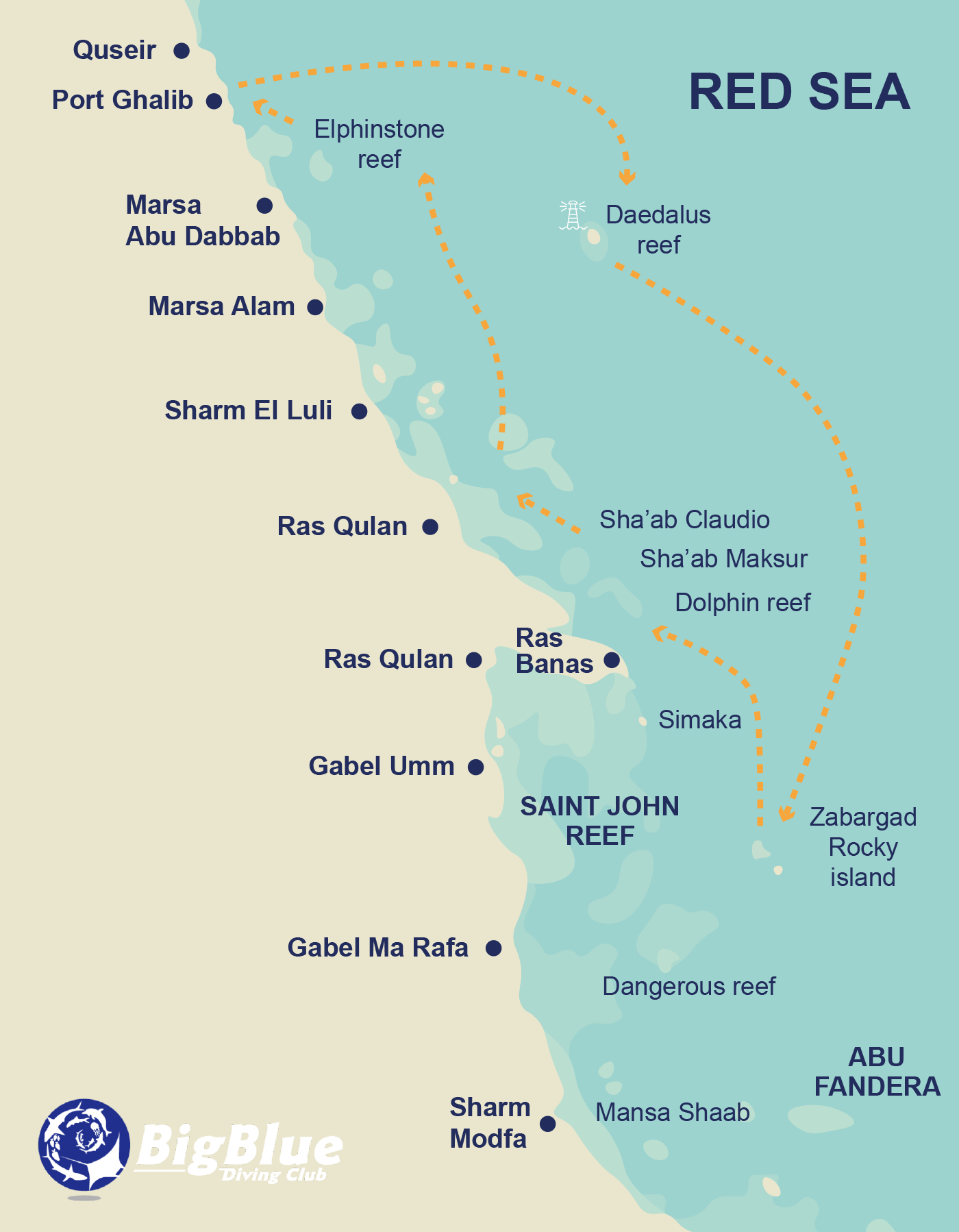 Coral reef in Egypt's northern Red Sea
