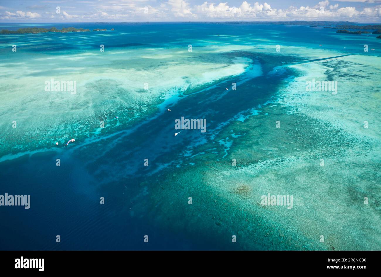 German Channel coral gardens in Palau